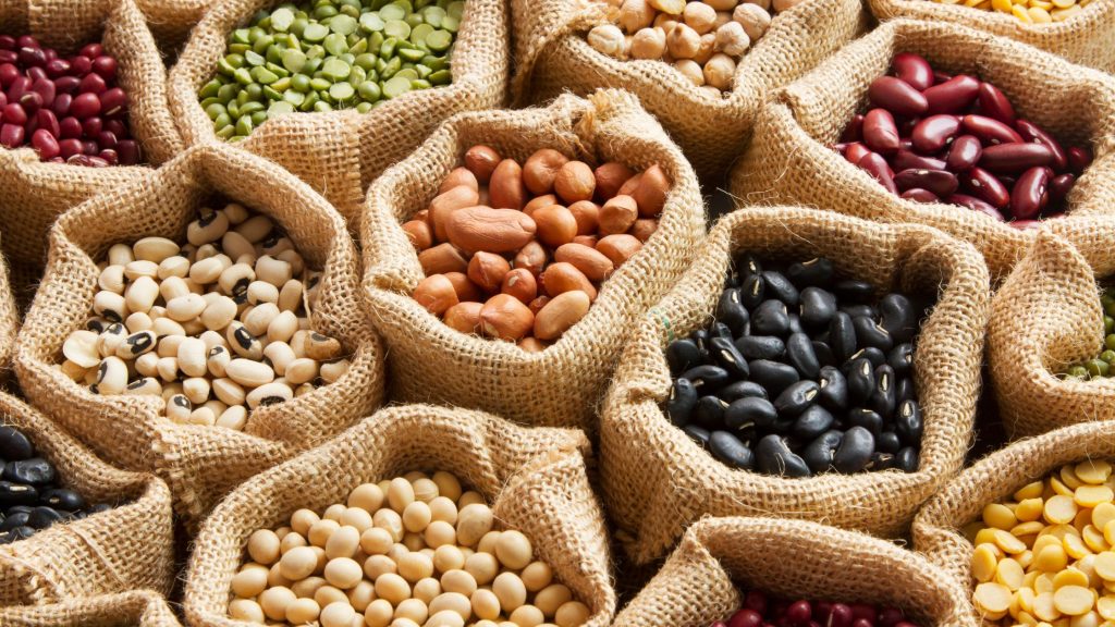 Beans and Legumes: The Protein Powerhouses