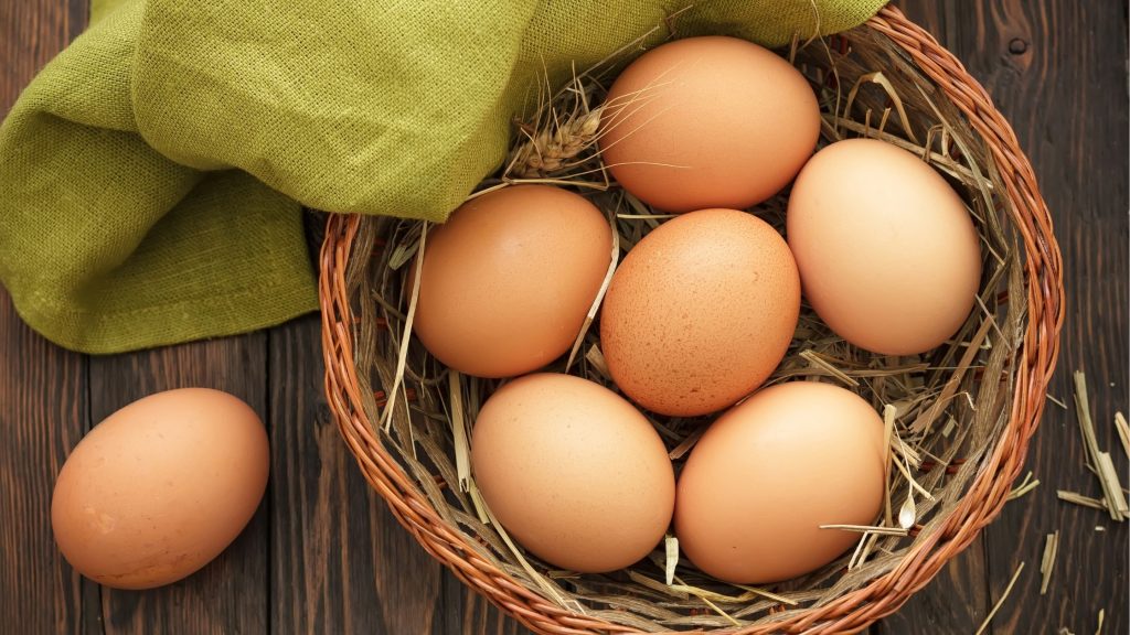Eggs: A Complete and Versatile Protein