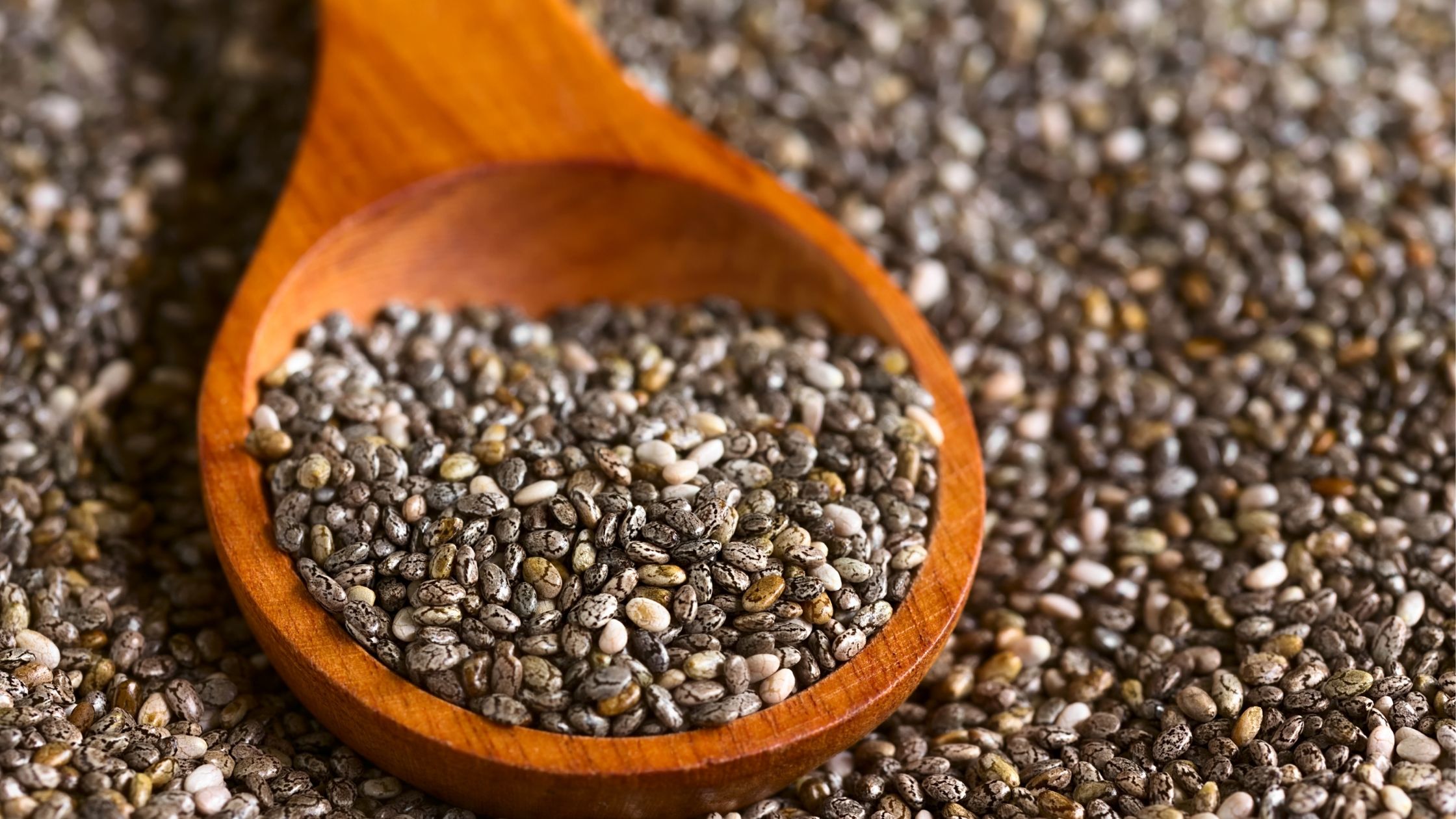 Chia Seeds: Tiny Powerhouses of Nutrition