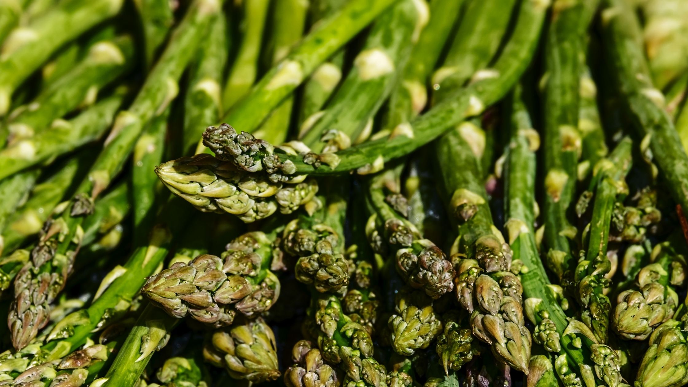 Asparagus: Folate and Vitamin K