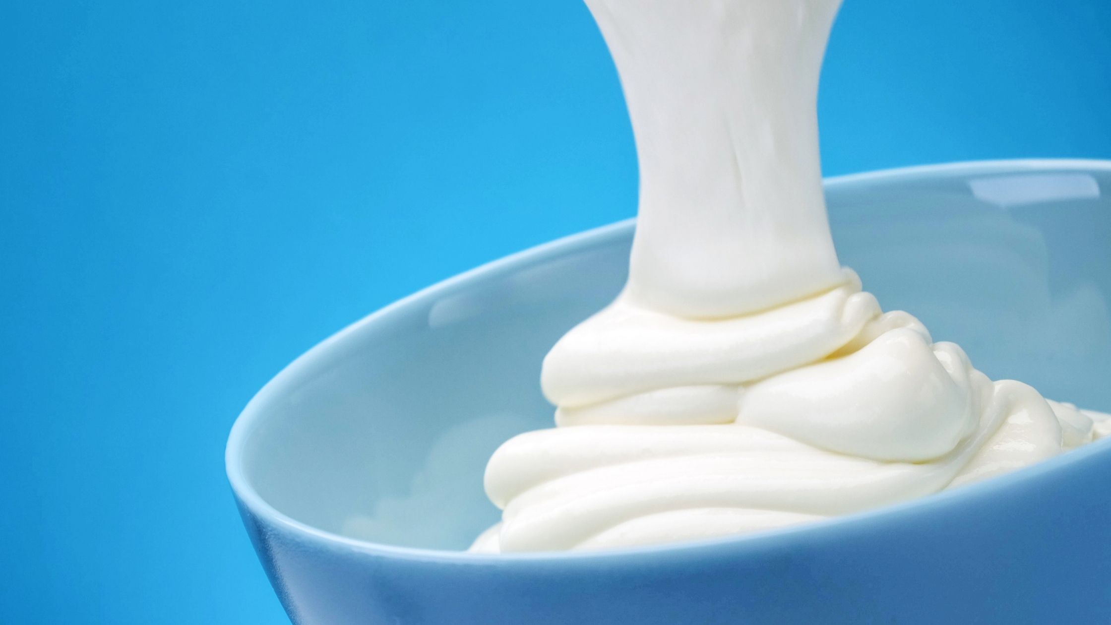 Greek Yogurt: Probiotics for a Healthy Gut