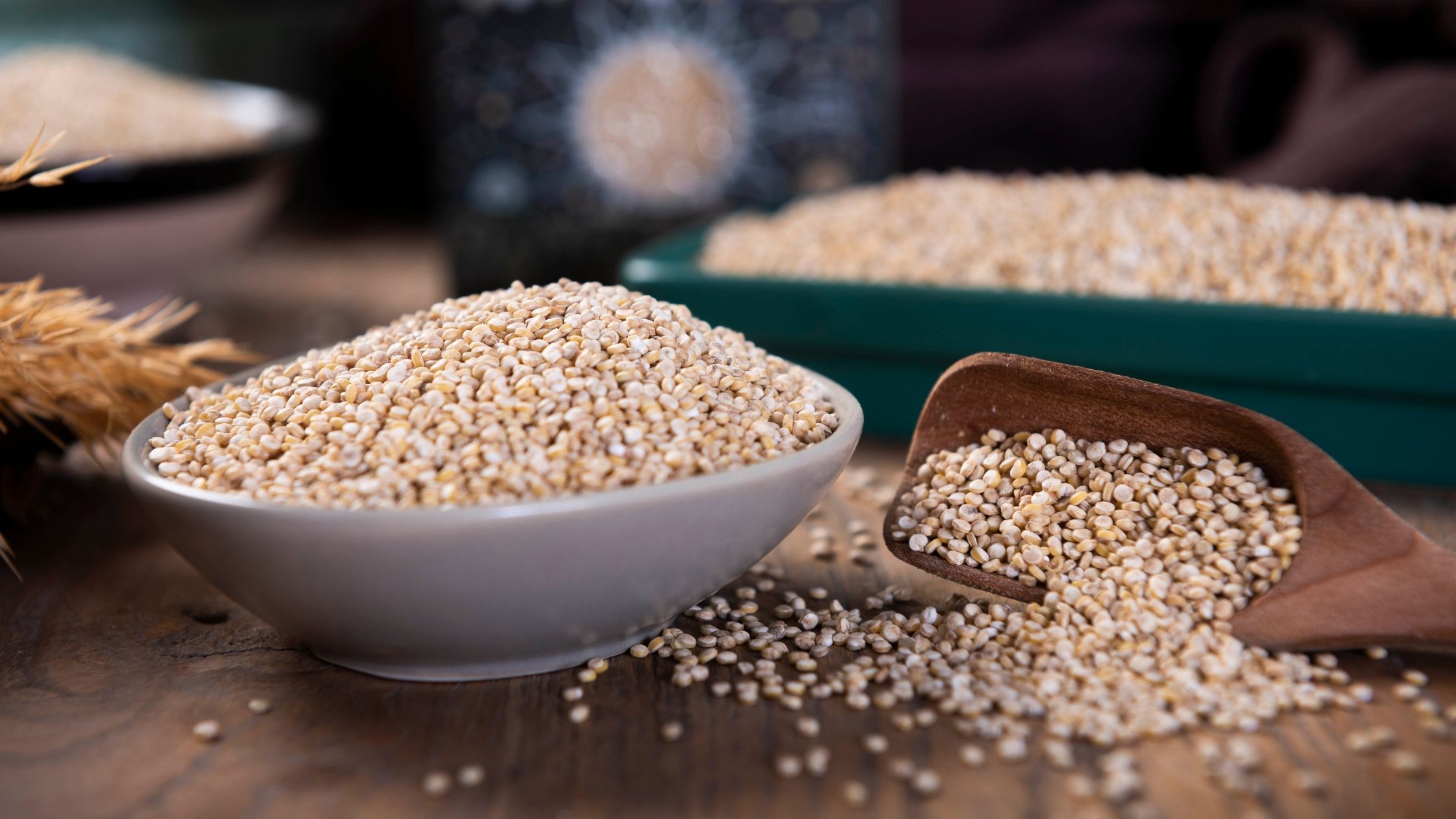 Quinoa: A Complete Protein Source