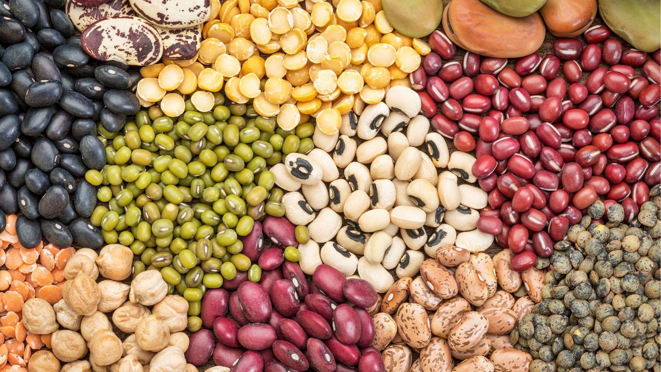 Lentils: A Plant-Based Protein Powerhouse