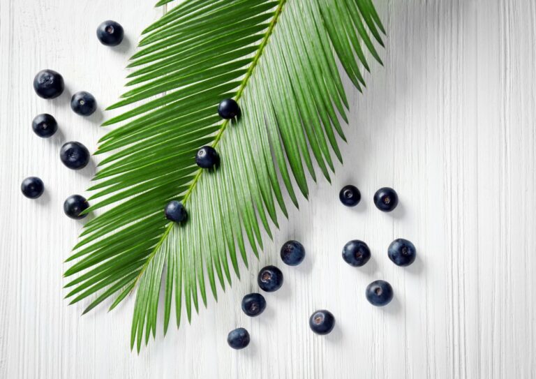 Health Benefits of Acai: 15 Reasons to Love This Superfood