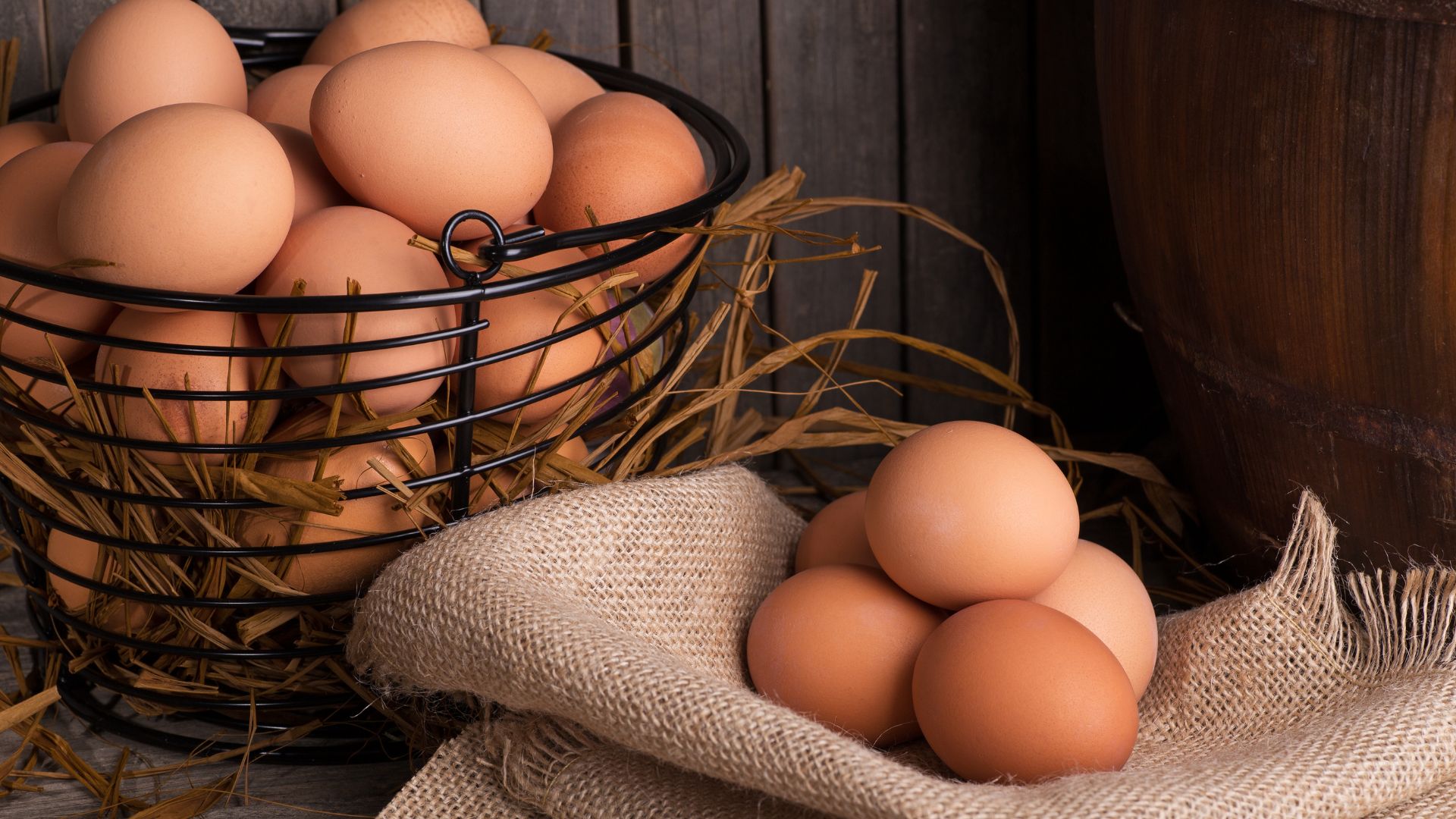 Eggs: The Nutrient-Rich Delights